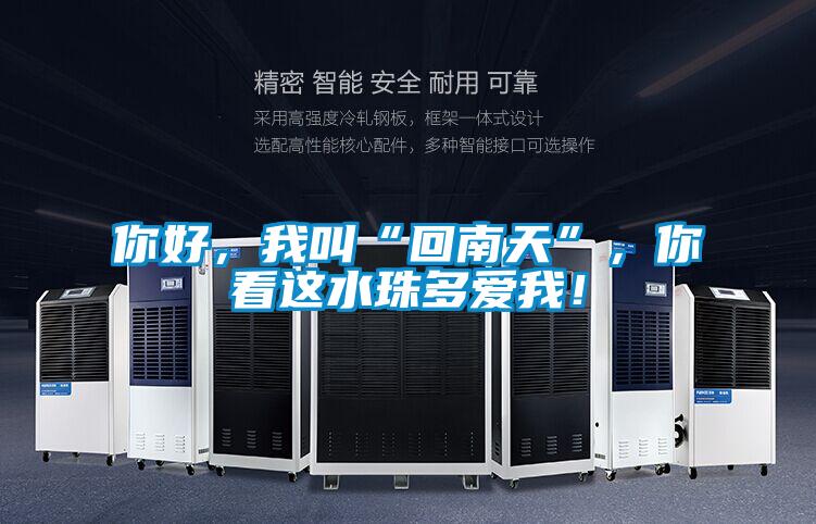 你好，我叫“回南天”，你看這水珠多愛我！