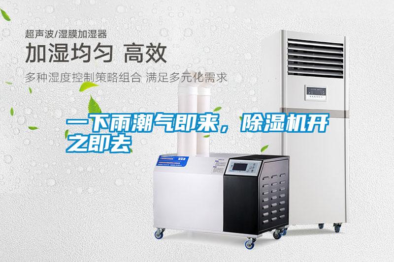 一下雨潮氣即來，除濕機開之即去