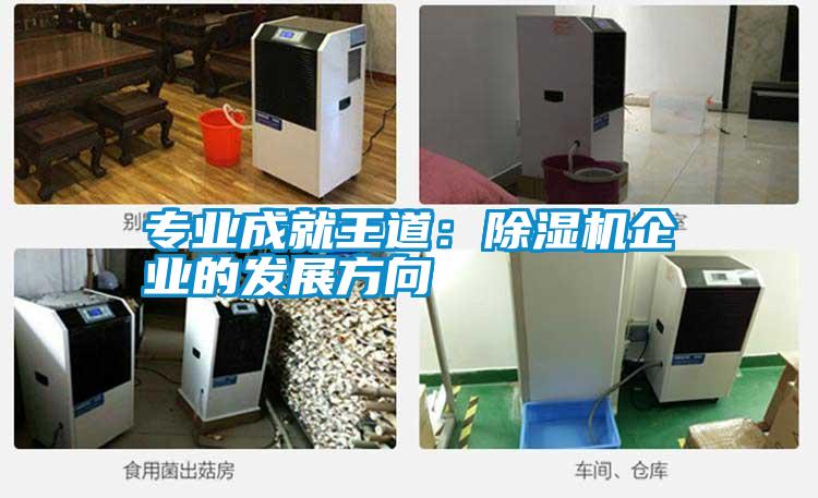 專業成就王道:除濕機企業的發展方向