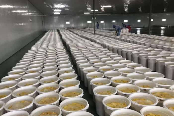 1555982677.jpg 5bf4b4769187442a9d105ef6ee8b475d.jpg