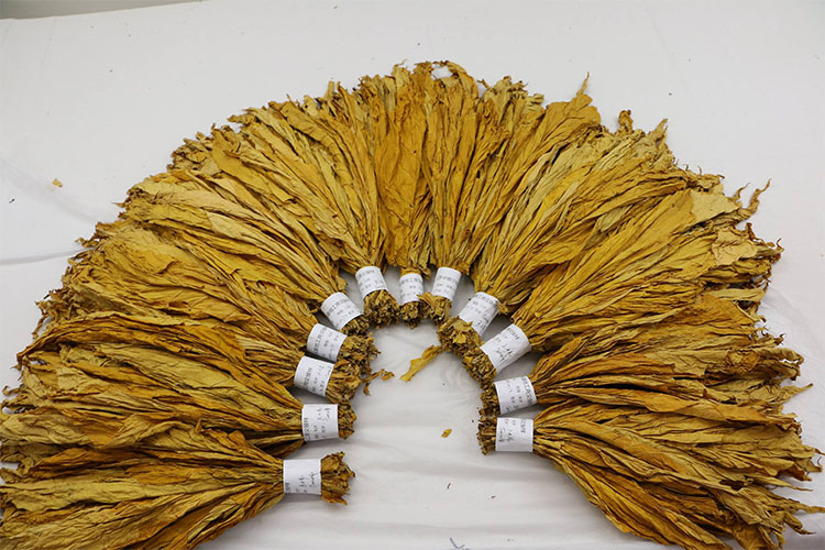 1538703454380979.jpg 1g.jpg