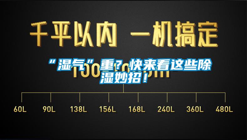 “濕氣”重?快來(lái)看這些除濕妙招!