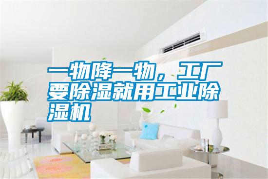 一物降一物,工廠要除濕就用工業除濕機
