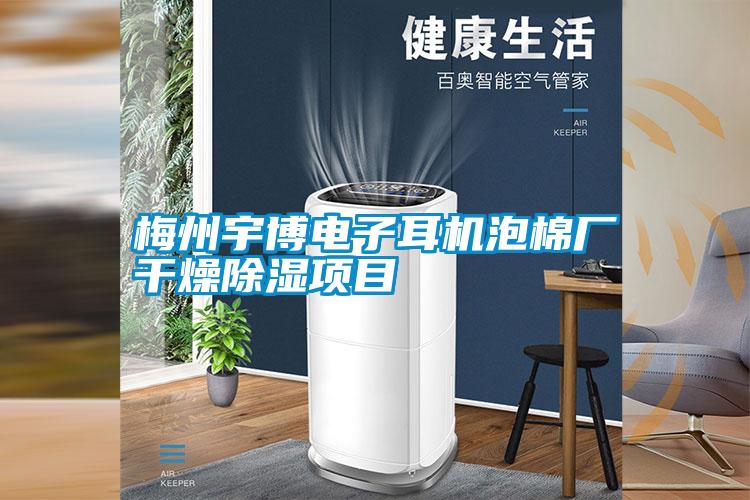 梅州宇博電子耳機(jī)泡棉廠干燥除濕項目