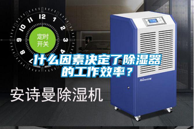 什么因素決定了除濕器的工作效率?