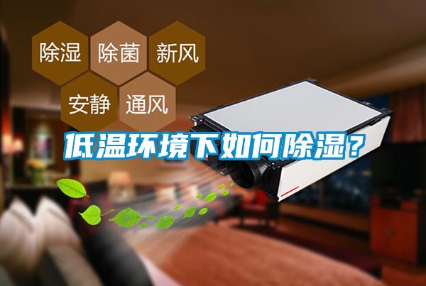 低溫環(huán)境下如何除濕?