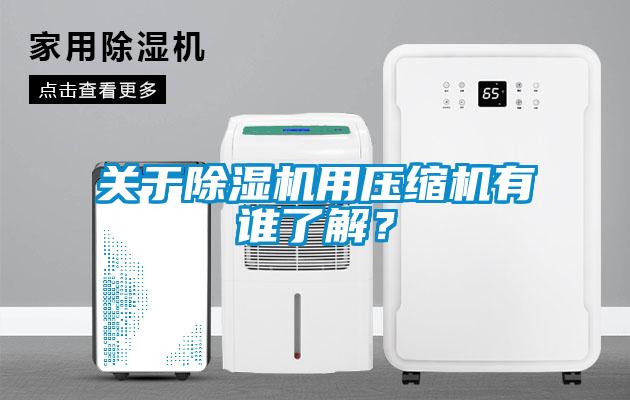關于除濕機用壓縮機有誰了解?