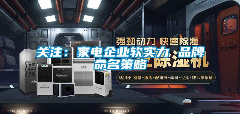 關(guān)注:家電企業(yè)軟實(shí)力 品牌命名策略