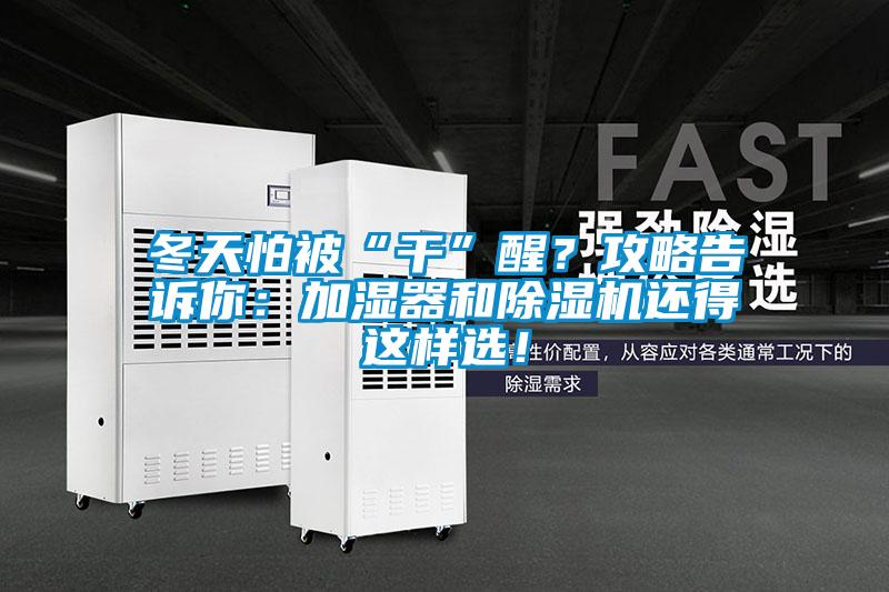冬天怕被“干”醒？攻略告訴你：加濕器和除濕機還得這樣選！