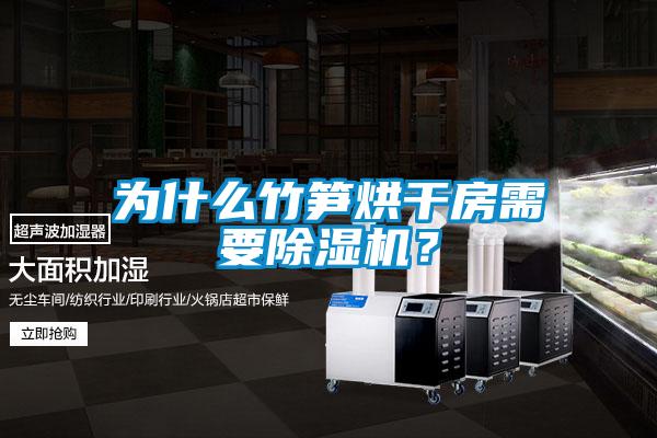 為什么竹筍烘干房需要除濕機(jī)？