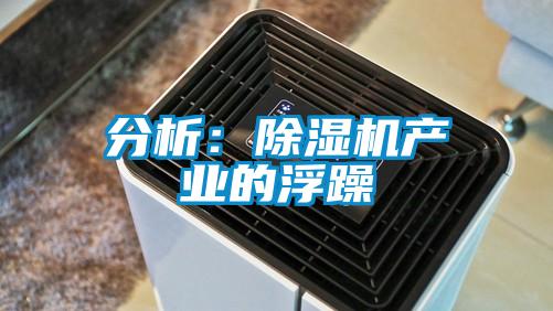 分析:除濕機產(chǎn)業(yè)的浮躁