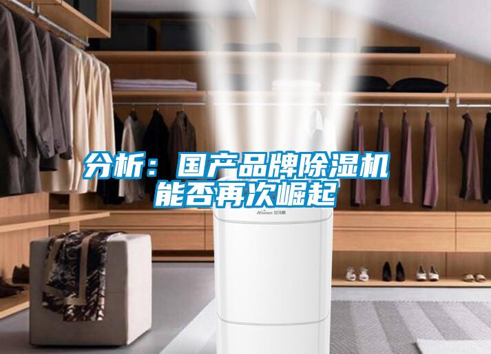 分析:國產(chǎn)品牌除濕機(jī) 能否再次崛起