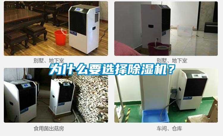 為什么要選擇除濕機(jī)?