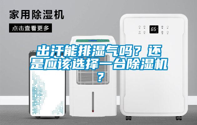 出汗能排濕氣嗎?還是應(yīng)該選擇一臺(tái)除濕機(jī)?