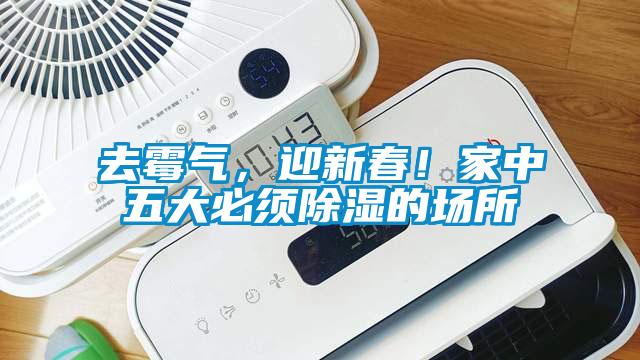 去霉氣，迎新春！家中五大必須除濕的場所