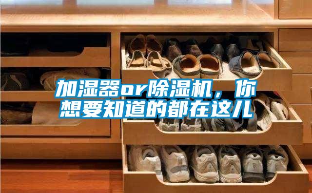 加濕器or除濕機,你想要知道的都在這兒