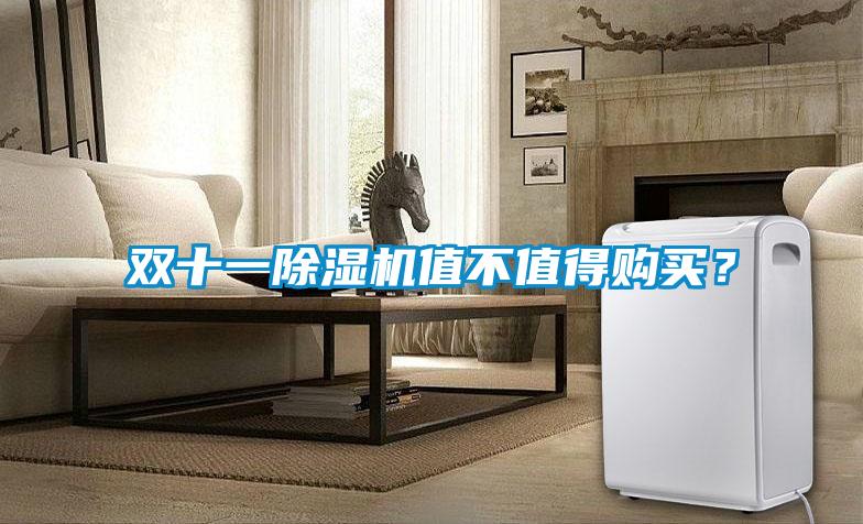 雙十一除濕機(jī)值不值得購(gòu)買?