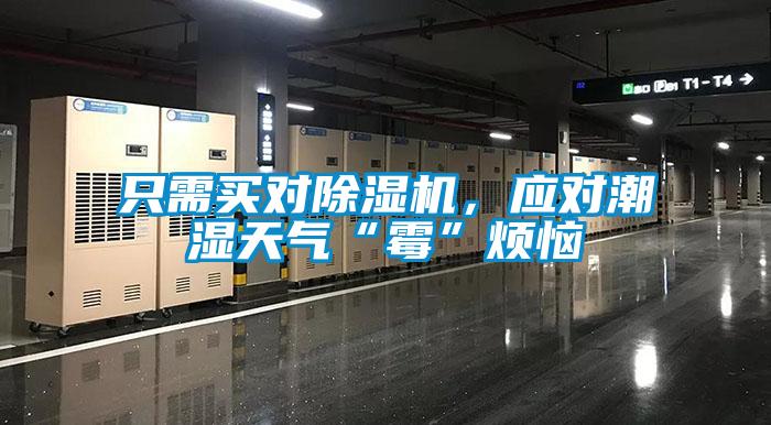 只需買對除濕機(jī)，應(yīng)對潮濕天氣“霉”煩惱