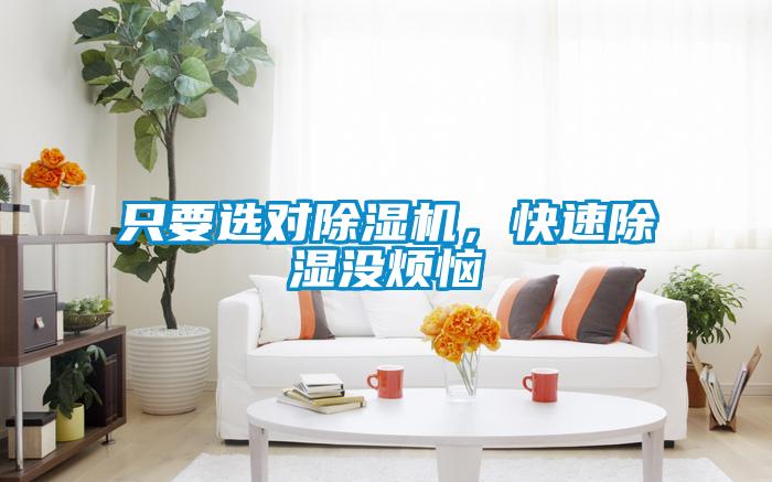 只要選對(duì)除濕機(jī),快速除濕沒(méi)煩惱