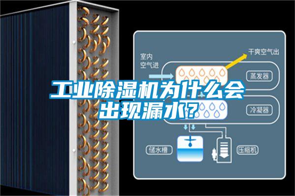 工業(yè)除濕機為什么會出現(xiàn)漏水?