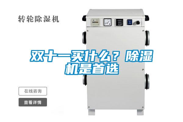 雙十一買什么?除濕機是首選