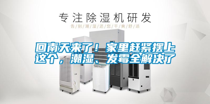 回南天來了！家里趕緊擺上這個，潮濕、發(fā)霉全解決了