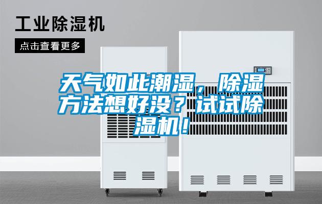 天氣如此潮濕,除濕方法想好沒?試試除濕機!