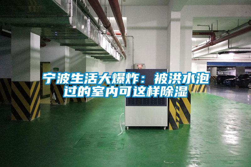 寧波生活大爆炸:被洪水泡過的室內(nèi)可這樣除濕