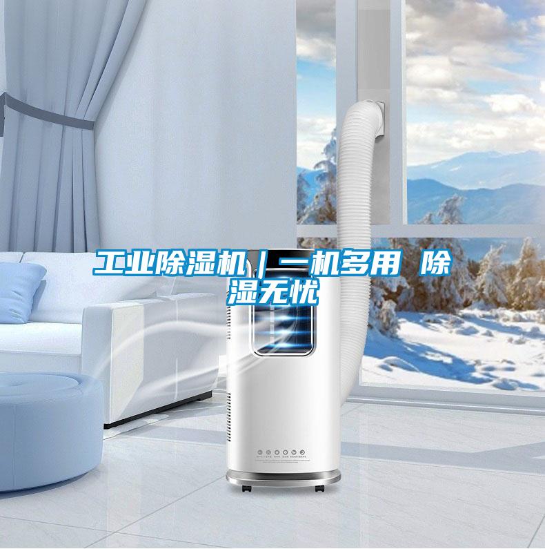 工業(yè)除濕機(jī)|一機(jī)多用 除濕無憂