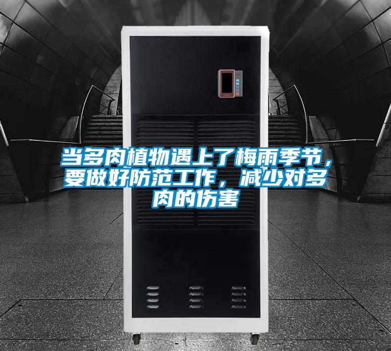 當(dāng)多肉植物遇上了梅雨季節(jié)，要做好防范工作，減少對(duì)多肉的傷害