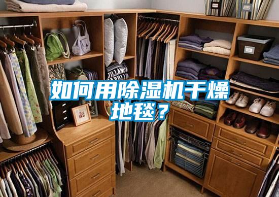 如何用除濕機干燥地毯？