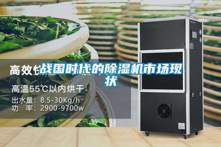 戰(zhàn)國時(shí)代的除濕機(jī)市場(chǎng)現(xiàn)狀