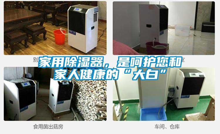 家用除濕器,是呵護您和家人健康的“大白”