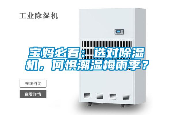 寶媽必看：選對除濕機，何懼潮濕梅雨季？