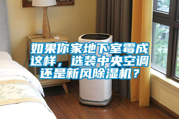 如果你家地下室霉成這樣，選裝中央空調(diào)還是新風除濕機？