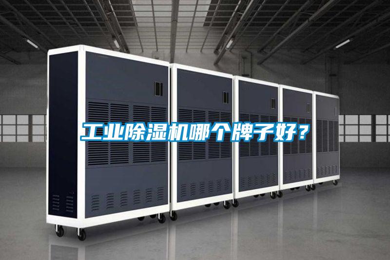 工業除濕機哪個牌子好？