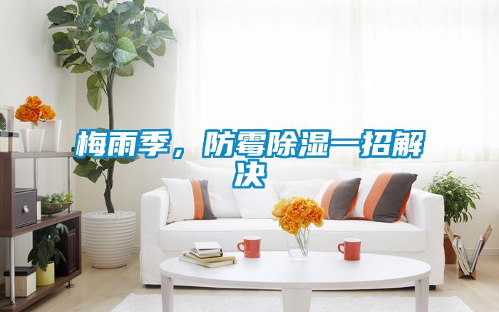 梅雨季,防霉除濕一招解決