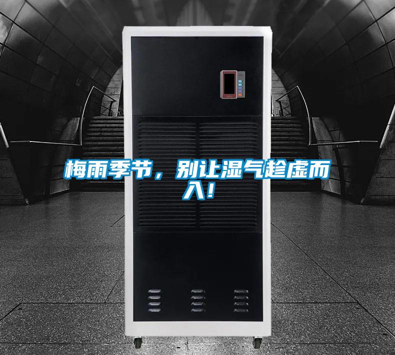 梅雨季節，別讓濕氣趁虛而入！