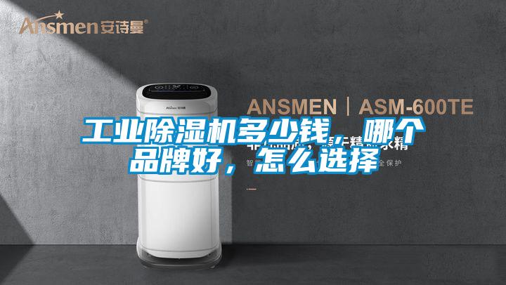 工業(yè)除濕機(jī)多少錢,哪個品牌好,怎么選擇