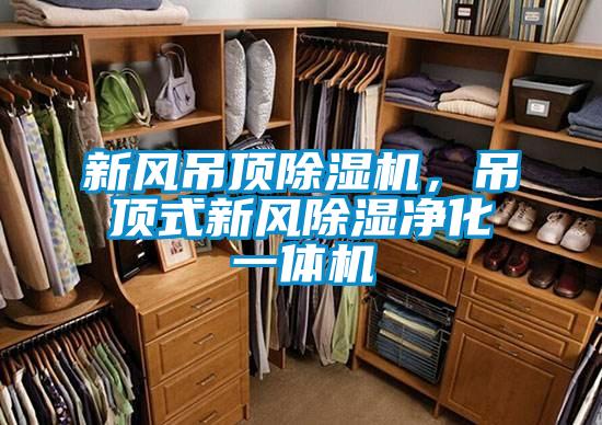 新風吊頂除濕機，吊頂式新風除濕凈化一體機
