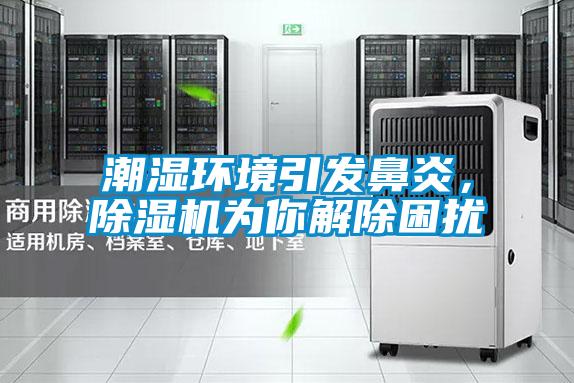 潮濕環(huán)境引發(fā)鼻炎，除濕機(jī)為你解除困擾