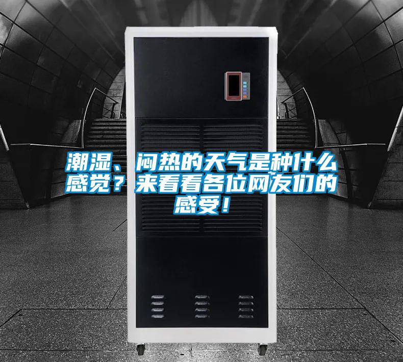 潮濕、悶熱的天氣是種什么感覺？來看看各位網友們的感受！