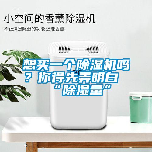 想買一個除濕機嗎？你得先弄明白“除濕量”