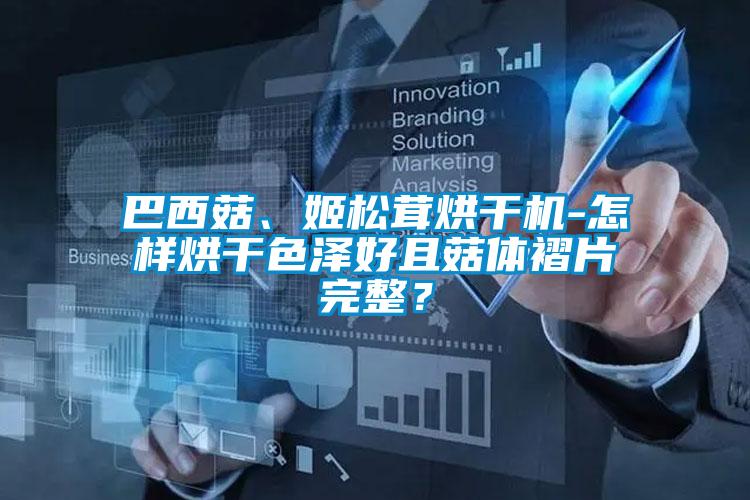 巴西菇、姬松茸烘干機-怎樣烘干色澤好且菇體褶片完整？