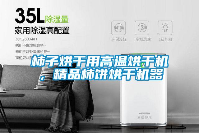 柿子烘干用高溫烘干機，精品柿餅烘干機器