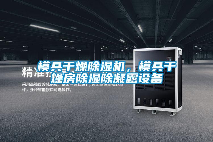 模具干燥除濕機(jī)，模具干燥房除濕除凝露設(shè)備