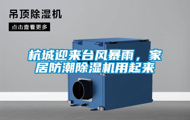 杭城迎來臺(tái)風(fēng)暴雨，家居防潮除濕機(jī)用起來