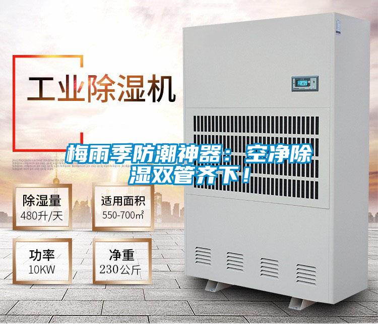 梅雨季防潮神器:空凈除濕雙管齊下!