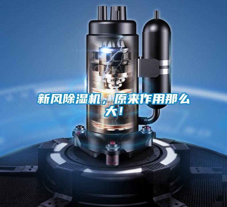 新風(fēng)除濕機，原來作用那么大！