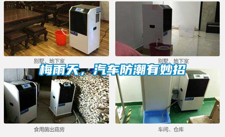 梅雨天,汽車防潮有妙招
